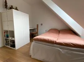Værelse med eget bad og toilet i nyt rækkehus