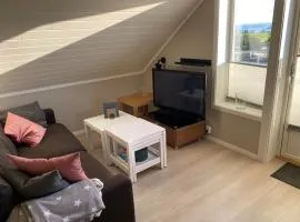 Apartment in beautiful Stange