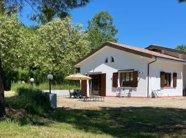 Dozza Getaway with vineyard views, fast Wifi, free parking，位于多扎的酒店
