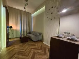 Vision Luxury Apartment Rynek