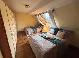 EifelRuhe 2 - Komfortable Ferienunterkunft für bis zu 10 Gäste mit 4 Schlafzimmern, großer Küche und genug Parkplätzen - ideal für Gruppen und Familien, Hunde zulässig