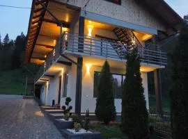 Pensiunea Dariana