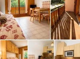 Mountain studio for 4 people - Nyon gondola within walking distance