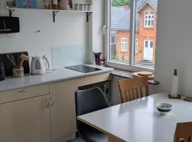 Spacious midttown apartment