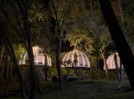 Under the Stars Domes