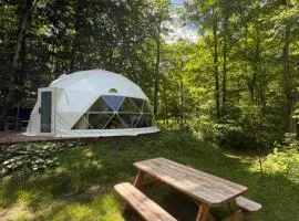Le Dôme, nature, ressourcement et sauna
