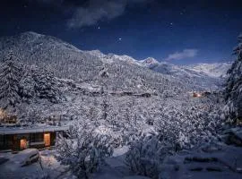 Hotel Old Manali with Balcony, Mountain and River View