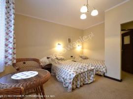 Karczma Kuźniak Młyn，位于Mierzyn的酒店