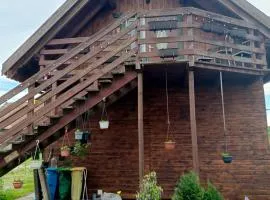 Zacisze pod lasem