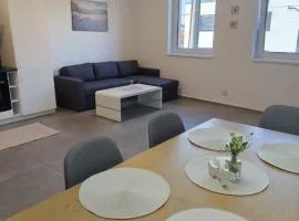 Apartmán na Břehách