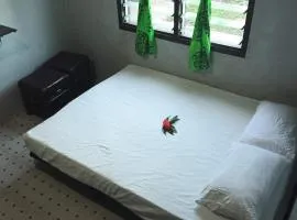 Taru Homestay- Your Home away fromHome