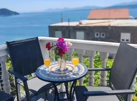ĆOSIĆ APARTMANI IGRANE