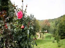 Nature Escape with Pool & Garden Views