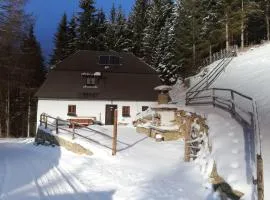 Ferienhaus Staller Brendl