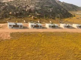 Springbok Guest Farm