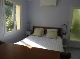 le studio de la salamandre