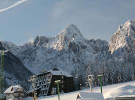 阿尔皮纳酒店，位于克拉尼斯卡戈拉的滑雪度假村