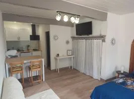 Independent studio in our property
