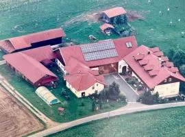 Haus Franz