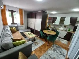 Apartment Meri with garage