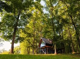 Bison Farm - Cabin "Cielo"