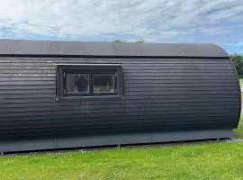 1 Bedroom Beautiful Home In Skjern