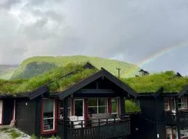 Apartment vårstølen - myrkdalen skisenter