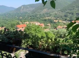 Il Carpino - Dimora Antica con Sauna