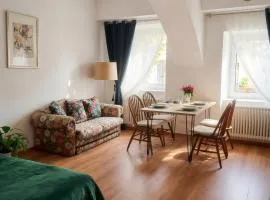 Apartments Romantic and Family Room Zemlinski