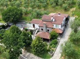 Stone House Apartment, Olive Grove & Valley View, Istria
