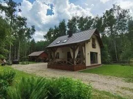 Domek na wynajem Lgiń