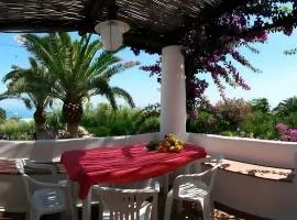 Casa Marel