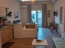 Modern flat in town center!