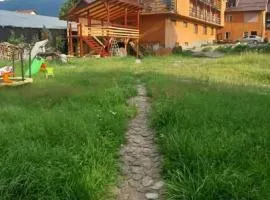 Vila Mihnea