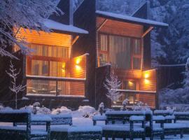 Ni-Newen Hotel & Lodge，位于普孔的酒店