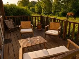Le Petit Marais en Sologne .