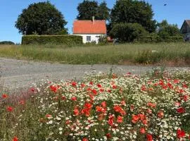 House in beautiful Österlen