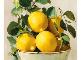 Lemon Garden Villapark