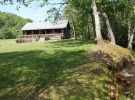 Climbing Bear Creekside Cabin