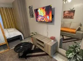 Luxury one bedroom with gym and pool