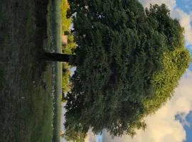 Au soleil
