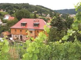 Weingut Mariaberg