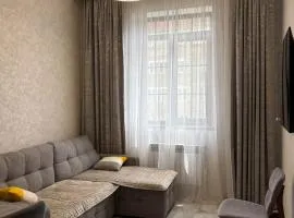 Luxury Leo Apartment Sevan