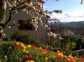 Le Balcon