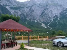 Guest House Vata