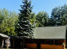 Park Poleski - Sosnowe Zacisze