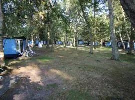 Bungalow MEER ODER WENIGER direkt am Strand