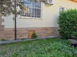 Shkodra Green Heart