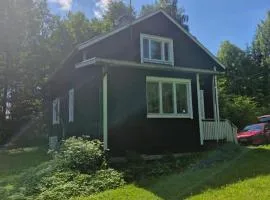 Traditional Finnish home with garden