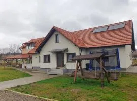 Bellevue Ciucas